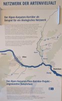 Projekt Alpen-Karpaten-Flusskorridor